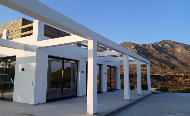 New Build - Villa - Pinoso