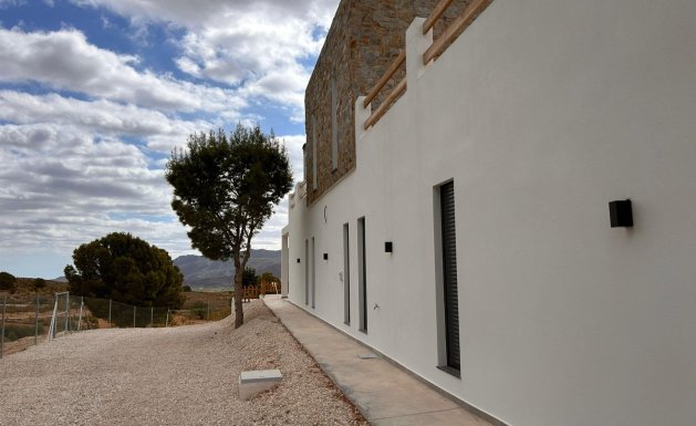 New Build - Villa - Pinoso