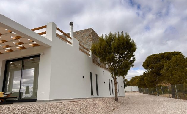 New Build - Villa - Pinoso