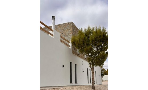 New Build - Villa - Pinoso