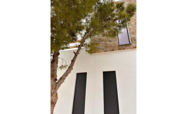 New Build - Villa - Pinoso