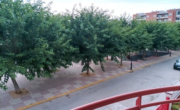 Venta - Casa  - Almoradí - Almoradi