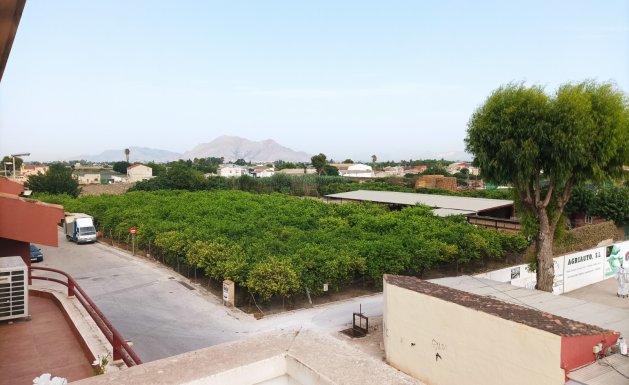 Venta - Casa  - Almoradí - Almoradi