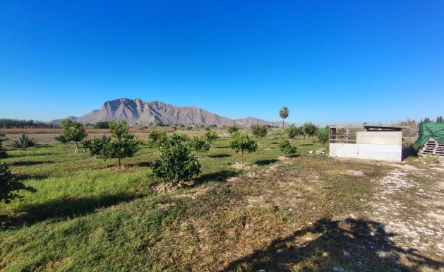 Venta - Chalet - Cox
