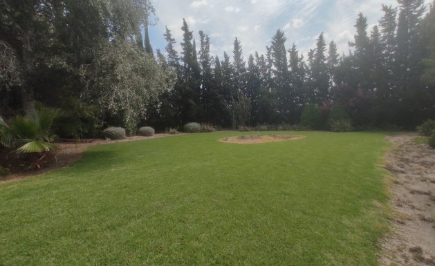 Venta - Chalet - Daya Nueva