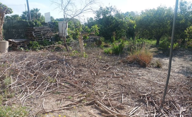 Vente - Maison - Daya Nueva