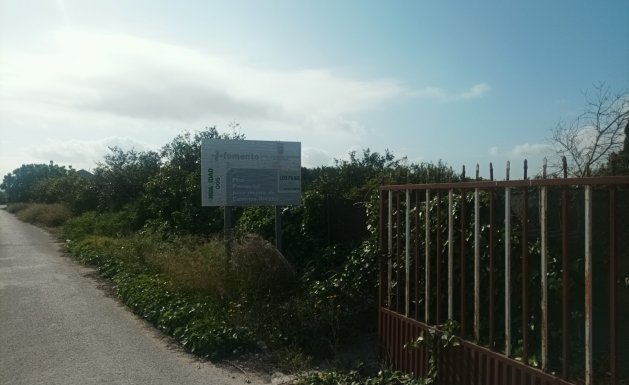 Vente - Maison - Daya Nueva