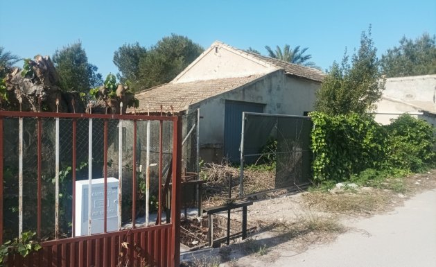 Vente - Maison - Daya Nueva