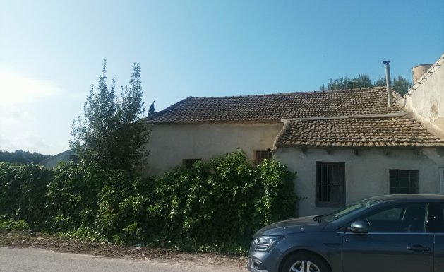 Vente - Maison - Daya Nueva