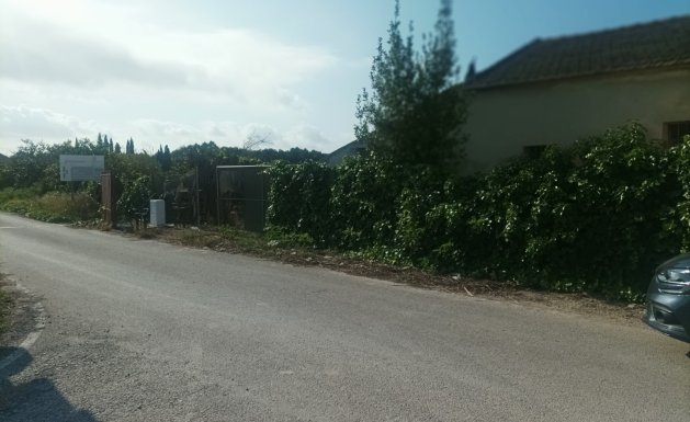 Vente - Maison - Daya Nueva