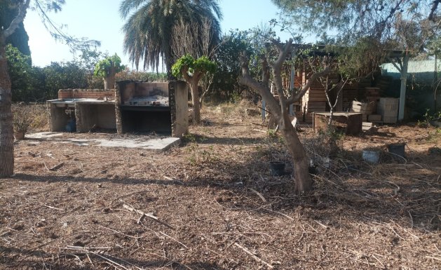 Vente - Maison - Daya Nueva