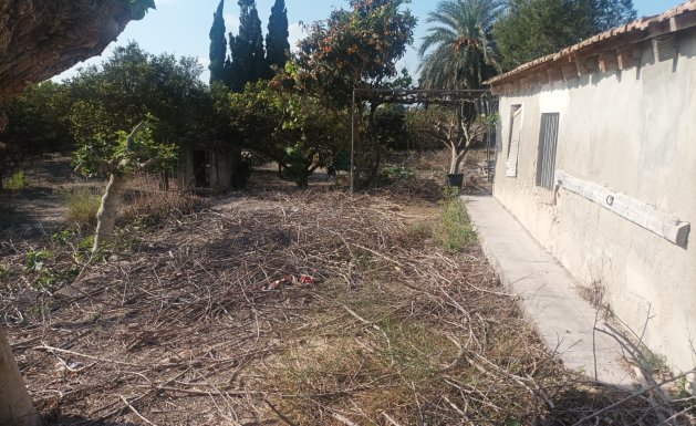 Vente - Maison - Daya Nueva