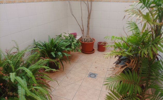 Venta - Casa  - Daya Nueva