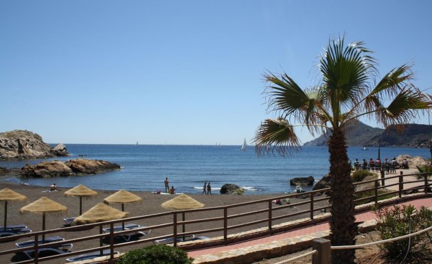 Neuf - Villa Adossée - La Union