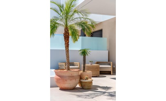 Nueva construcción - Bungalow - Dolores