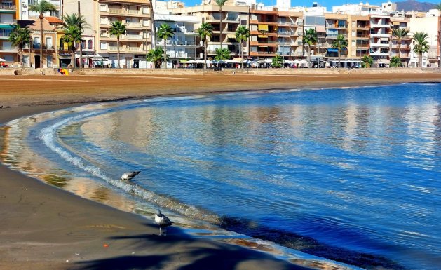 Nueva construcción - Chalet - Fuente Álamo