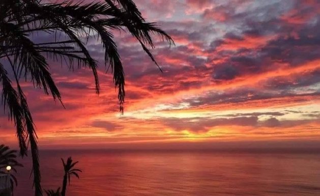 Neuf - Villa Adossée - Torrevieja