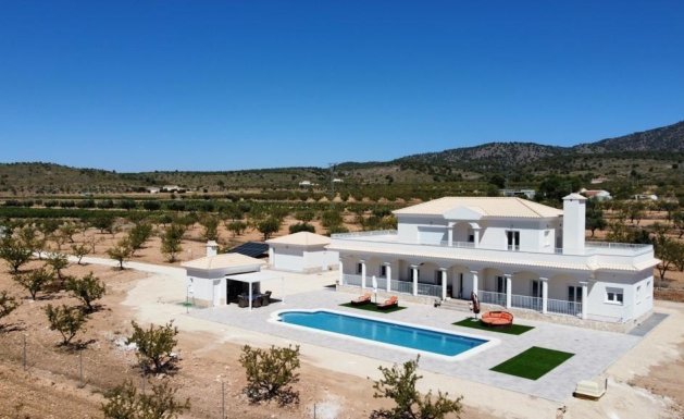 Nueva construcción - Chalet - Pinoso