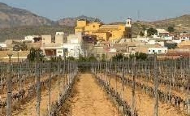 New Build - TOWNHOUSE - Hondón de las Nieves