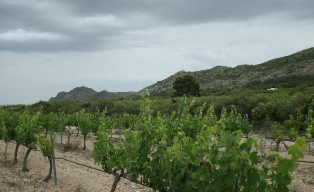 Nueva construcción - Chalet - Yecla