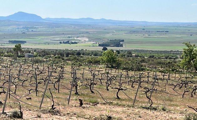 Nueva construcción - Chalet - Yecla