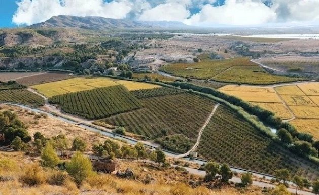 New Build - Villa - Calasparra