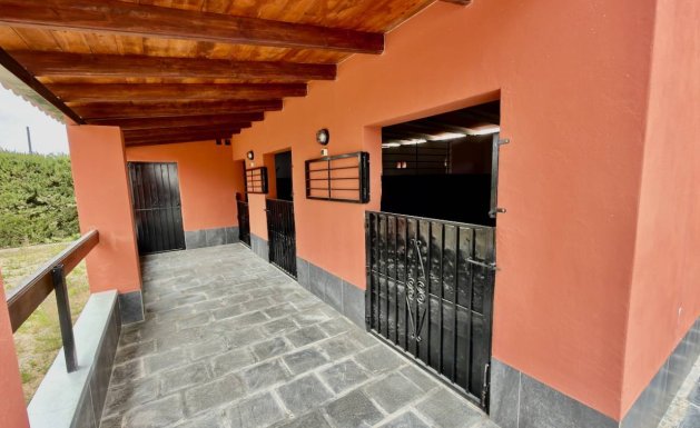 Sale - Villa - Almoradí - Heredades