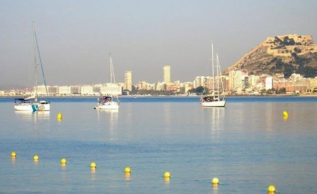 Neuf - Appartement - El Verger