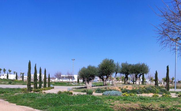 Neuf - Appartement - Torre Pacheco