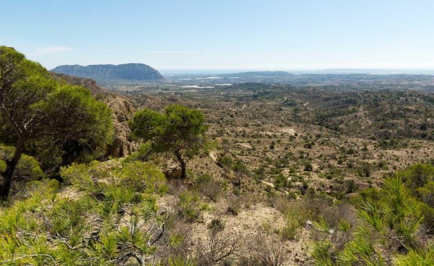 Nueva construcción - Chalet - Aspe