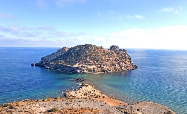 Neuf - Appartement - Aguilas