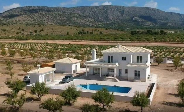 Neuf - Villa  - Pinoso