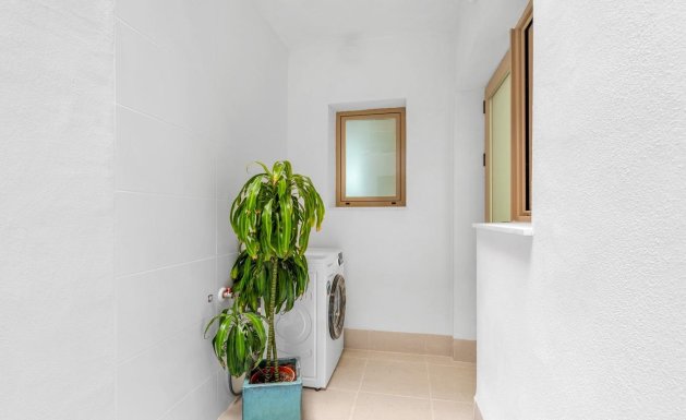 Neuf - Appartement - Jacarilla