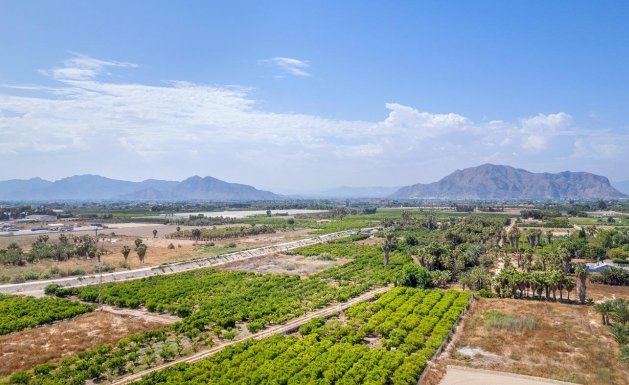 Neuf - Appartement - Jacarilla