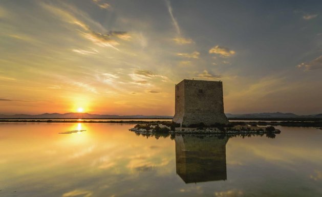 Neuf - Appartement - Santa Pola