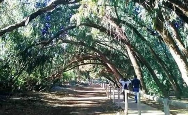 Neuf - Villa Adossée - Torrevieja
