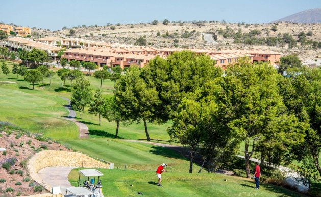 Neuf - Appartement - Monforte del Cid