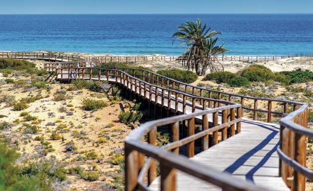 Neuf - Appartement - Monforte del Cid