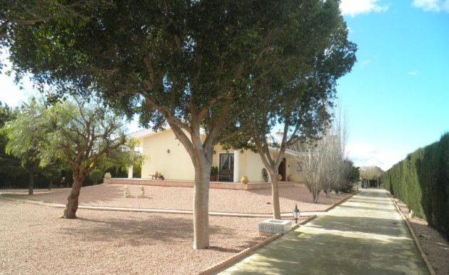 Vente - Villa  - Almoradi - Campagne