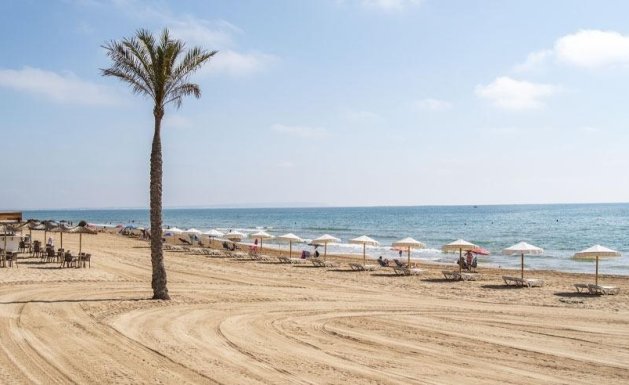 New Build - Apartment - Guardamar del Segura