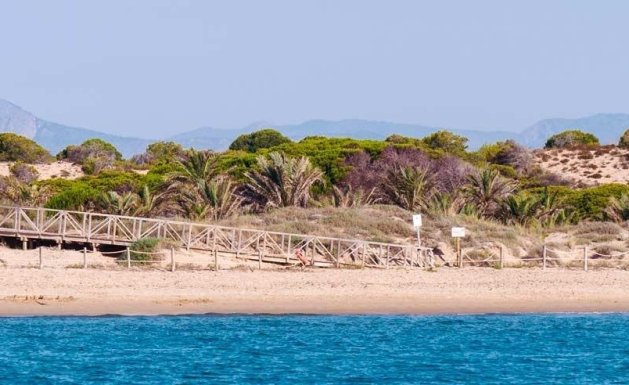 New Build - Apartment - Guardamar del Segura