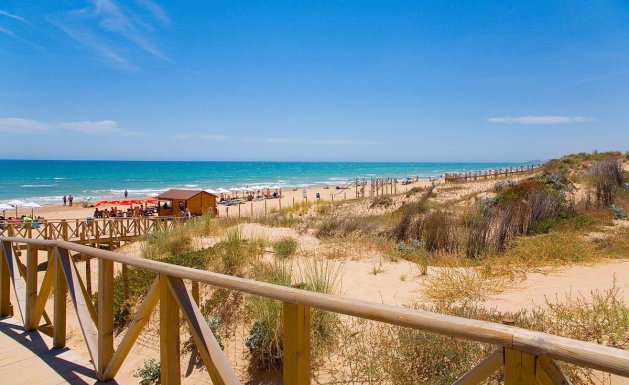 Nueva construcción - Apartamento - Guardamar del Segura