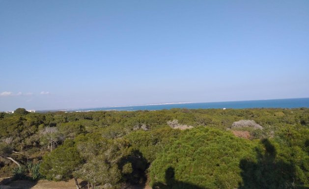 Neuf - Appartement - Guardamar del Segura