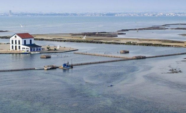 Nueva construcción - Chalet - San Pedro del Pinatar