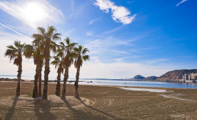 Nueva construcción - Chalet - Els Poblets