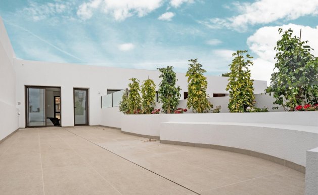 Nueva construcción - Bungalow - Almoradí - Almoradi