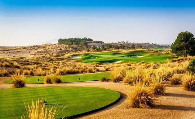 Neuf - Villa  - Alhama De Murcia