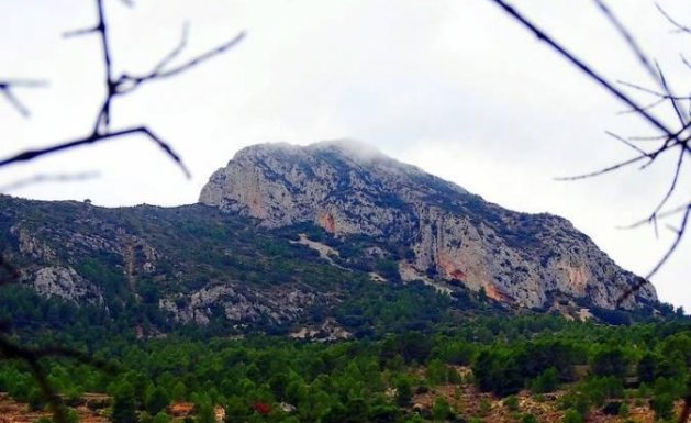 Neuf - Villa  - La Romana