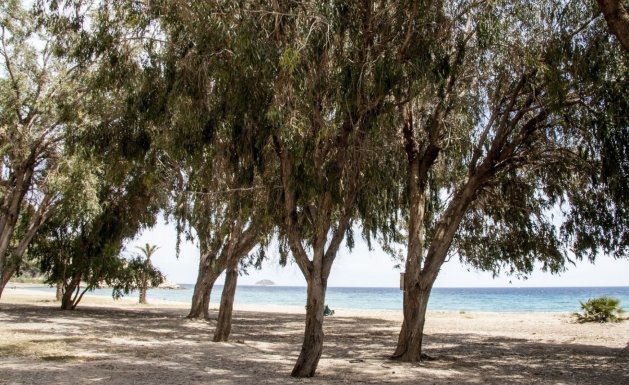 New Build - Apartment - Villajoyosa