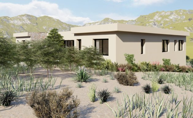 New Build - Villa - Yecla